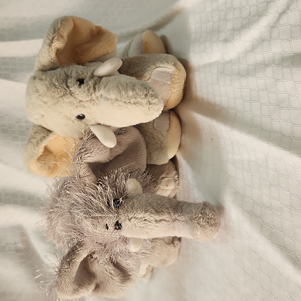 Ganz Webkins